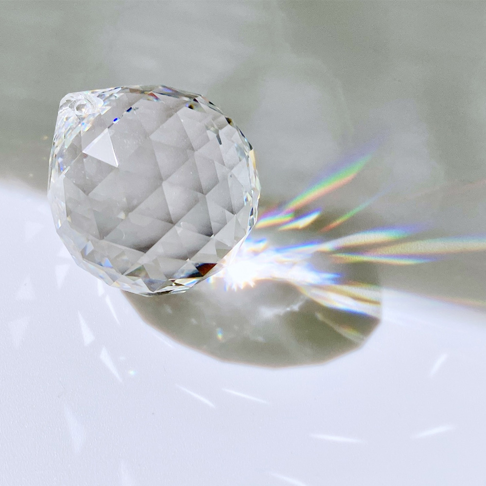 人生再建•身体再生プログラム